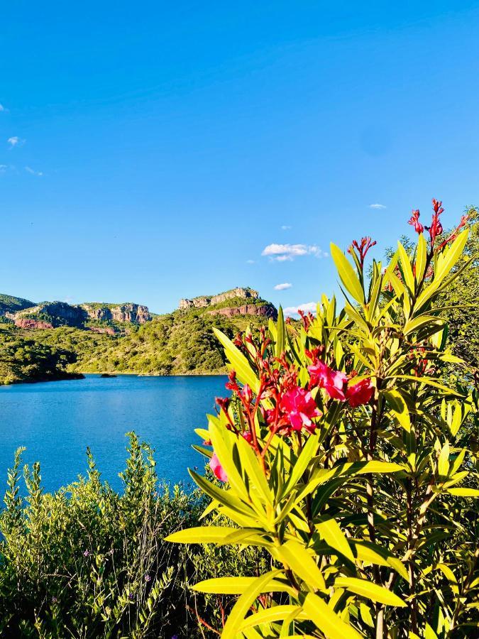 Apartaments Chenin Blanc-Priorat- Cornudella de Montsant Exterior foto